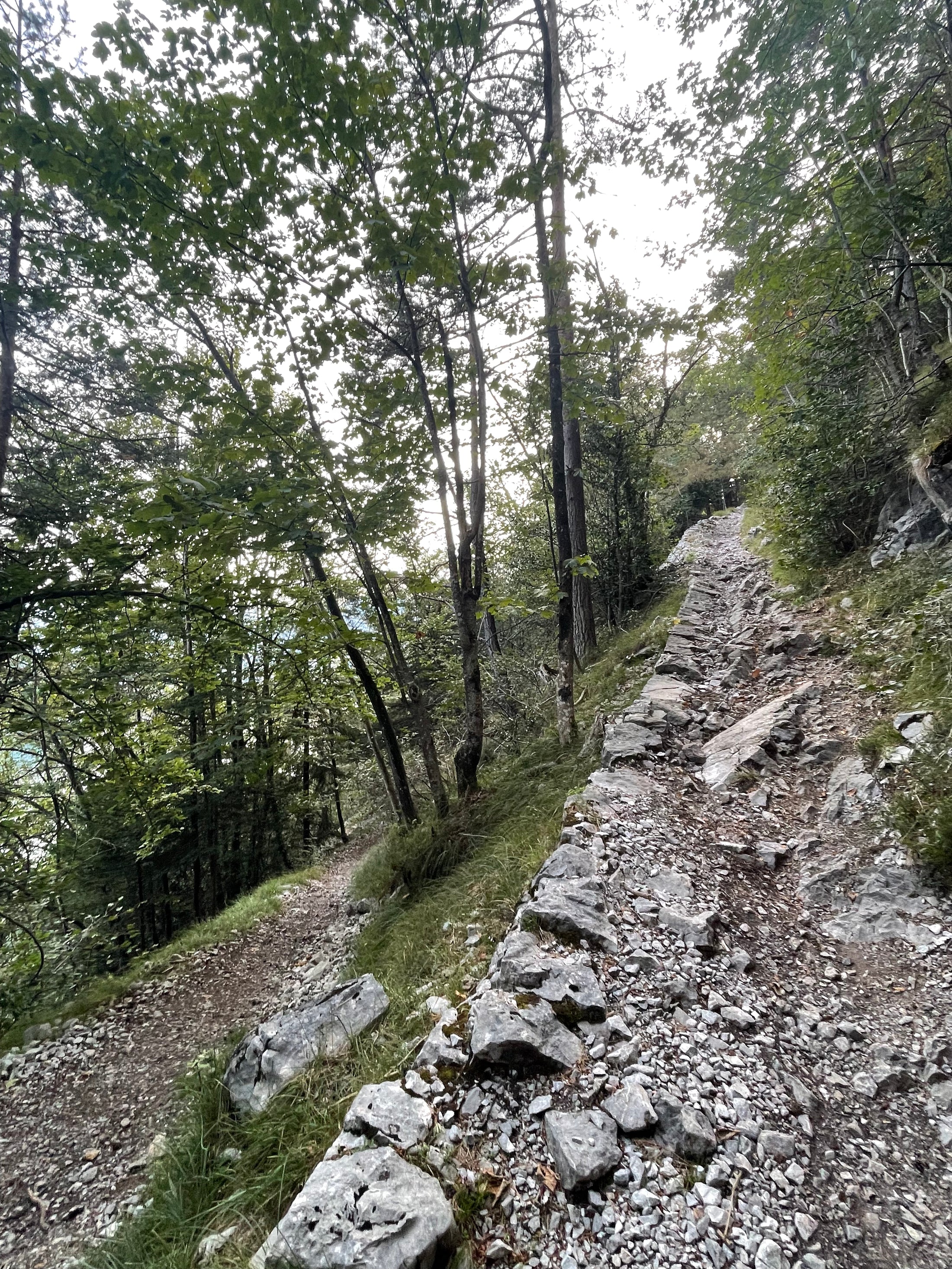 Lopper Ride – E-MTB Mindset Tour für Fortgeschrittene (Hergiswil)