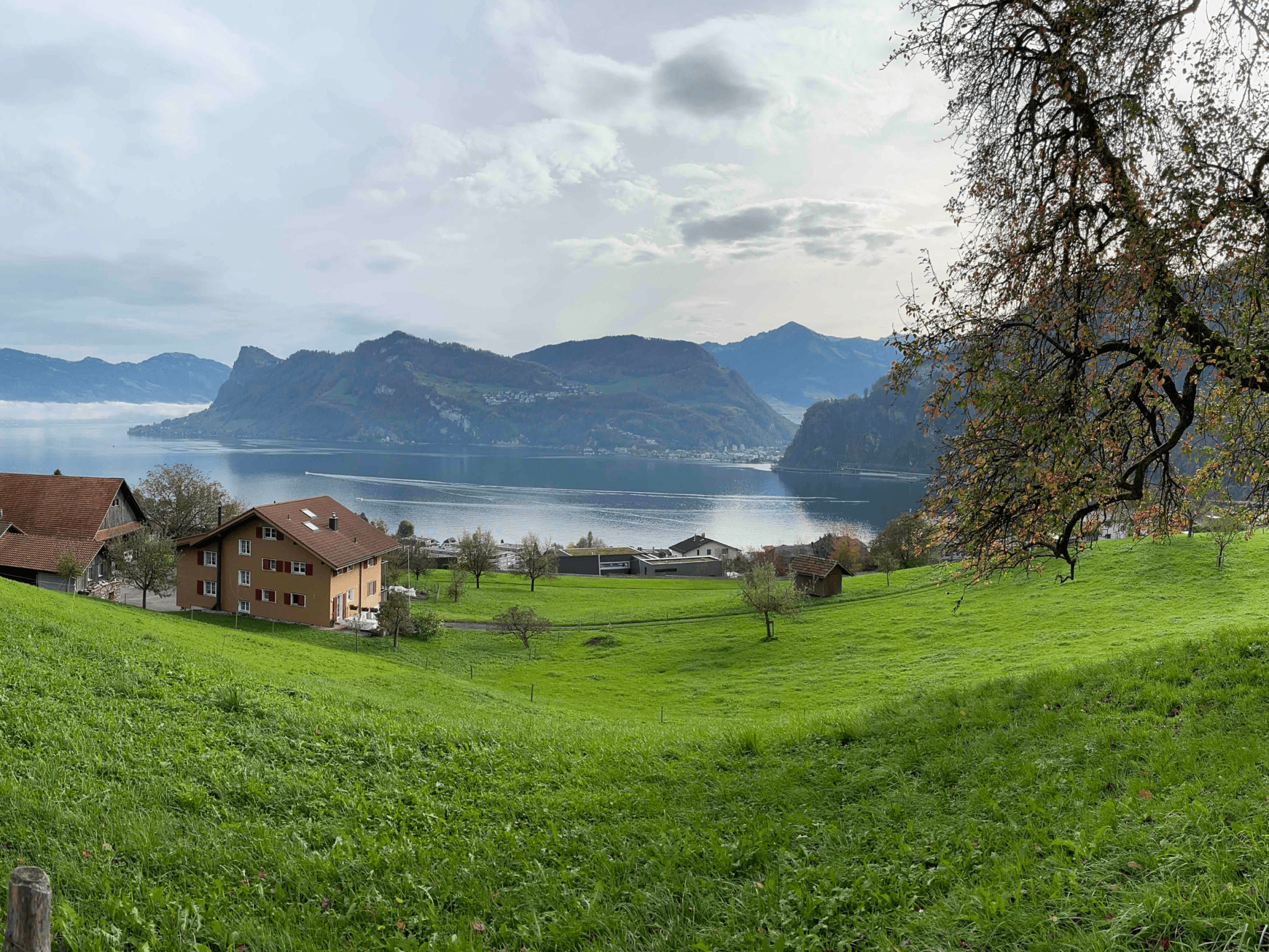 Lopper Ride – E - MTB Mindset Tour für Fortgeschrittene (Hergiswil) - WildRide Adventure