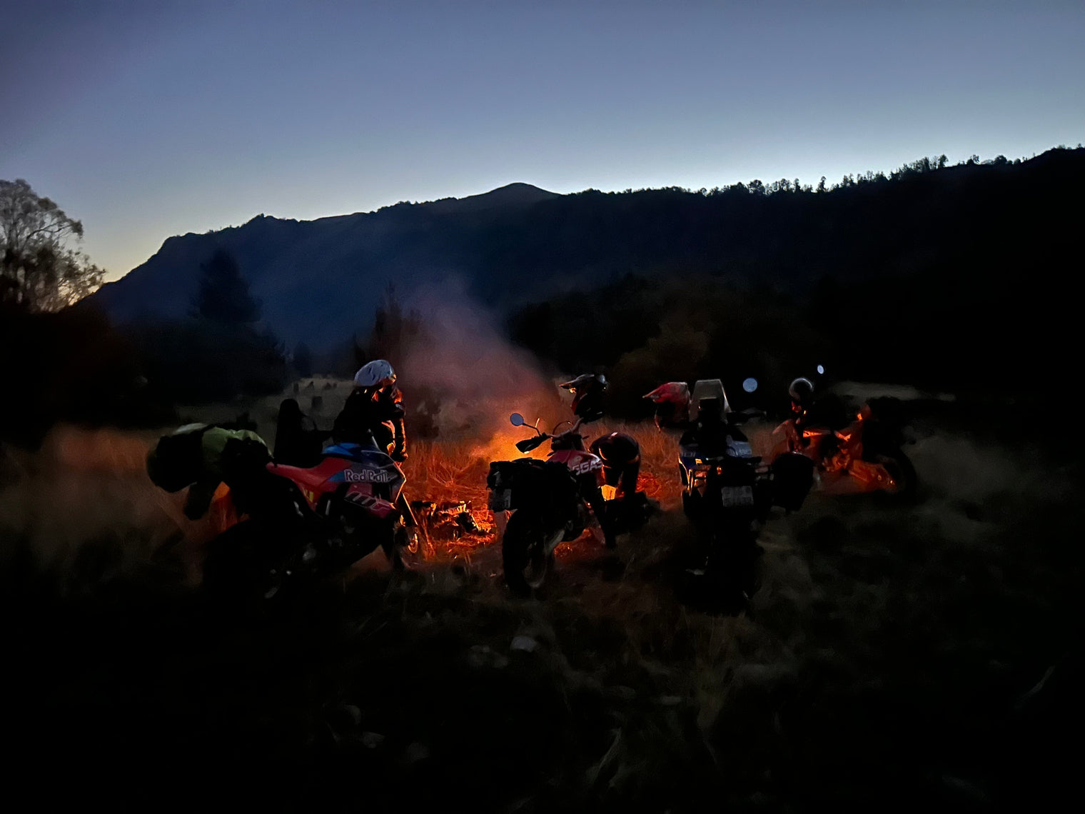 Echte Community - WildRide Adventure