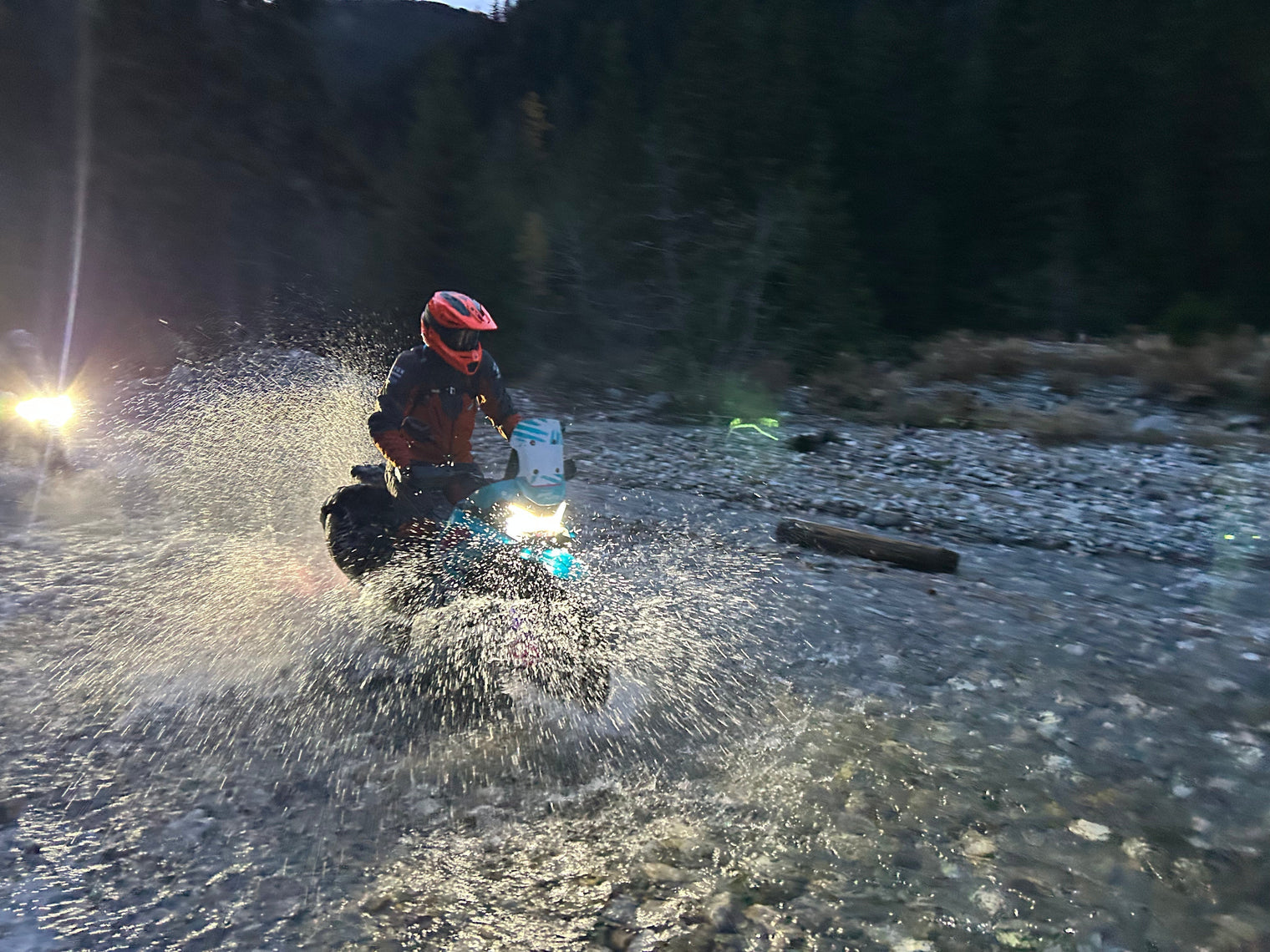 sicher & frei - WildRide Adventure