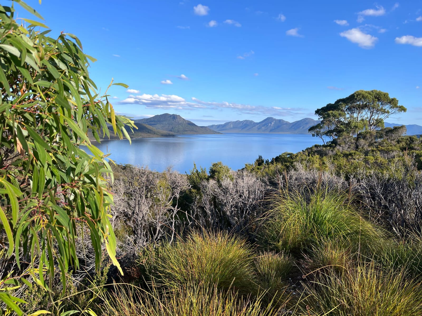 Tasmanien – Ein neues Kapitel für WildRideAdventure? - WildRide Adventure