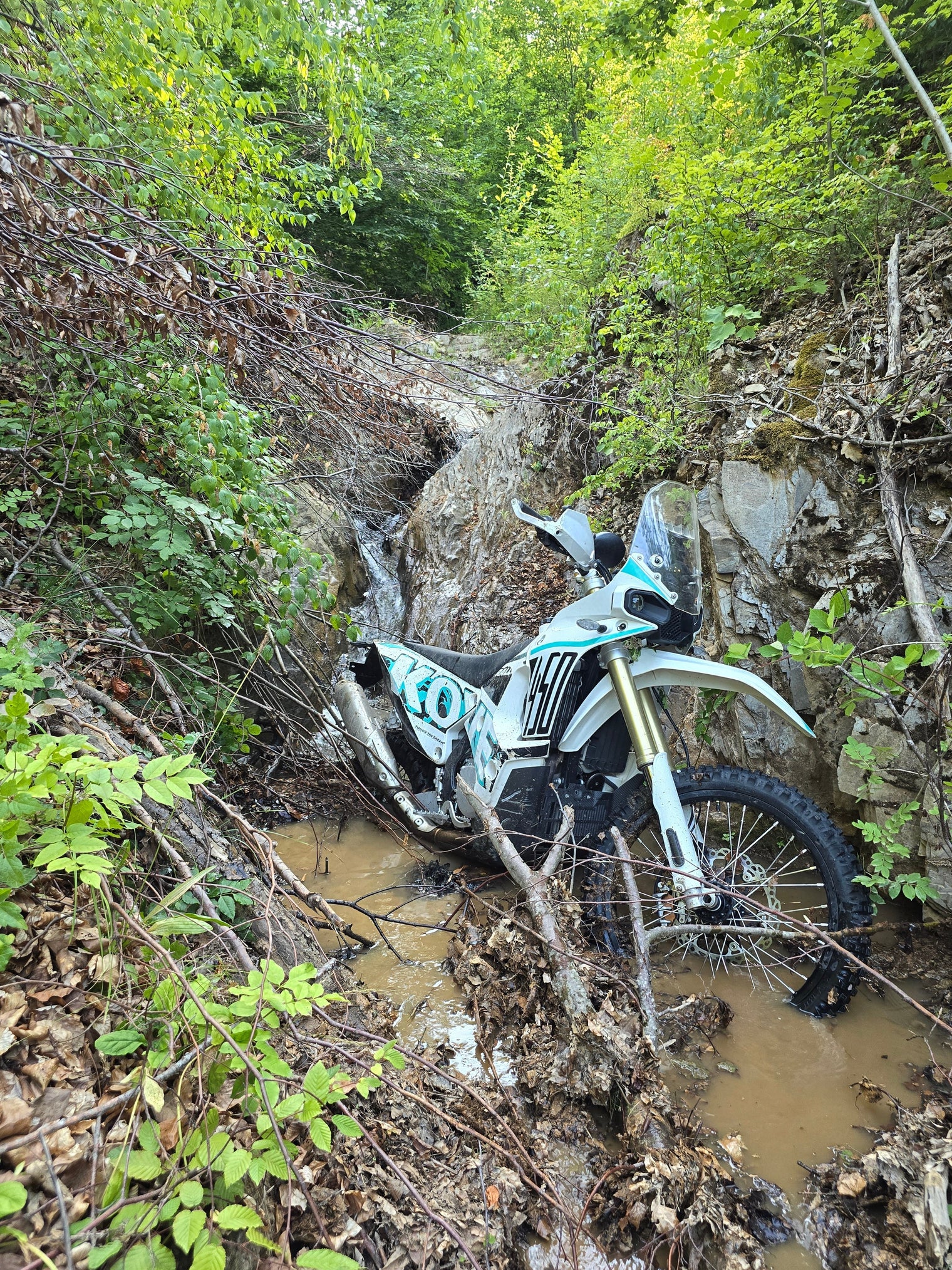 Wenn eine kurze Nachmittagsrunde zum Mindset-Game wird – Ein Erlebnis, das ich nie vergessen werde - WildRide Adventure