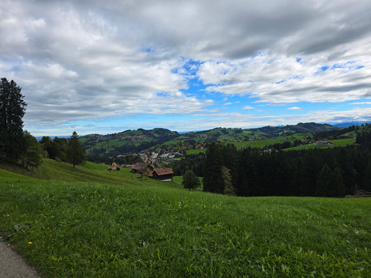 Mindset Ride – E-MTB Tour St. Gallen & Appenzellerland (Riethüsli)