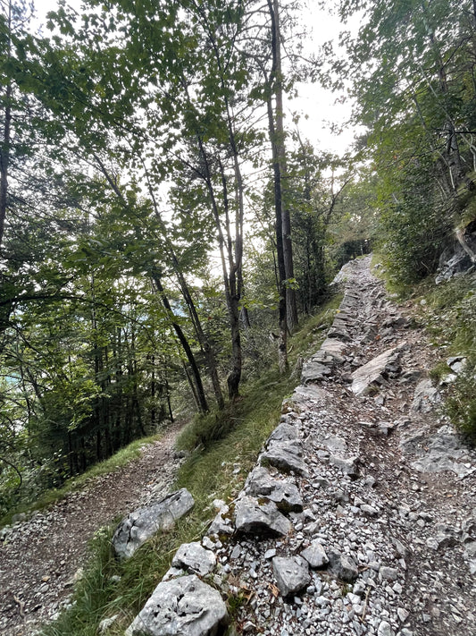 Lopper Ride – E-MTB Mindset Tour für Fortgeschrittene (Hergiswil)
