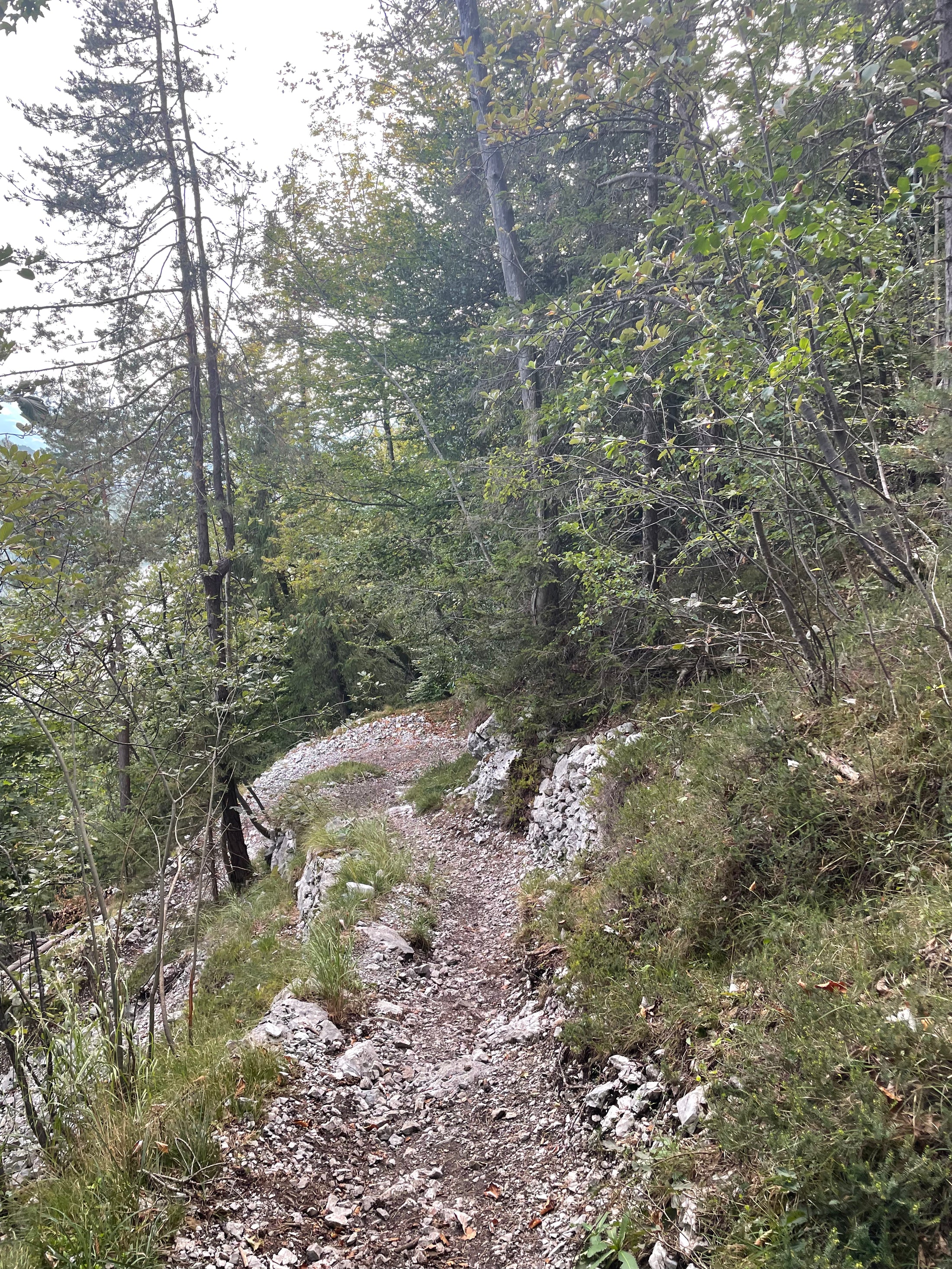 Lopper Ride – E-MTB Mindset Tour für Fortgeschrittene (Hergiswil)