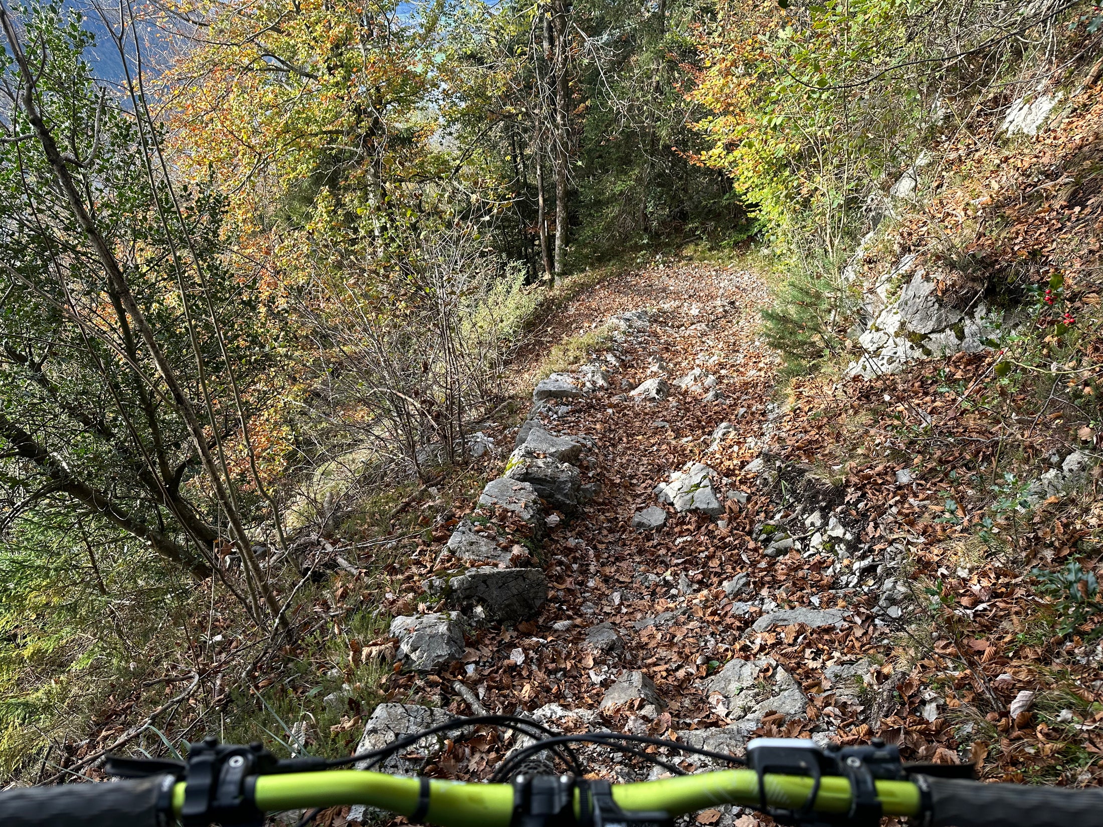 Lopper Ride – E-MTB Mindset Tour für Fortgeschrittene (Hergiswil)