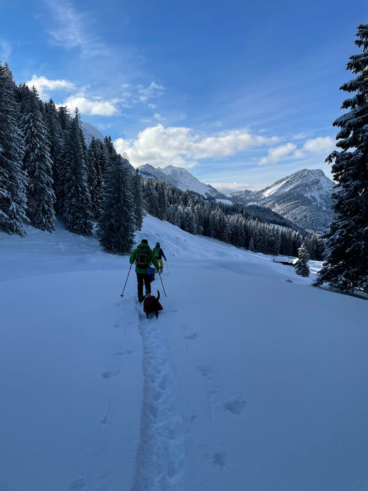 Werte in Bewegung – Dein erster Tag im Schnee (Schwägalp)