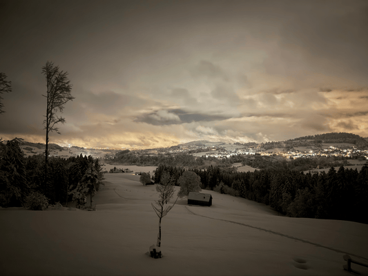 Community Winter Gathering – Fondue am Feuer im Schnee - WildRide Adventure